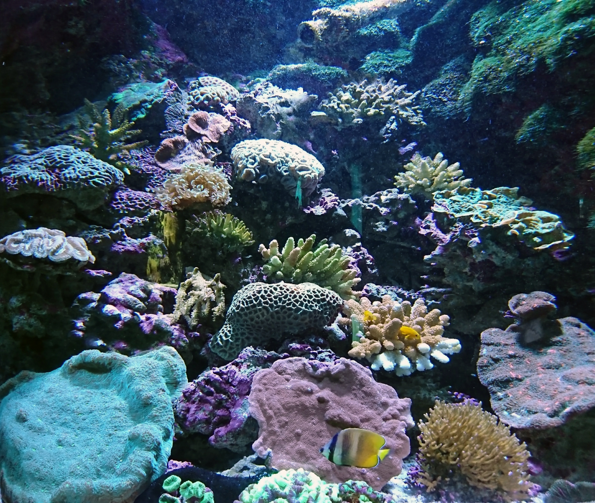 生き物3 